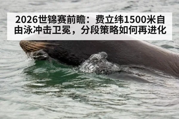 2026世锦赛前瞻：费立纬1500米自由泳冲击卫冕，分段策略如何再进化