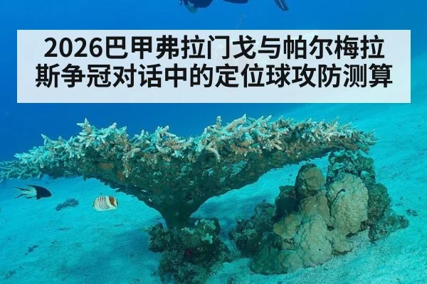 2026巴甲弗拉门戈与帕尔梅拉斯争冠对话中的定位球攻防测算